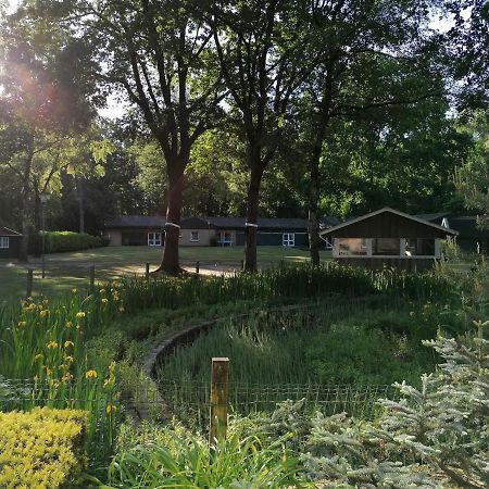 Waldjugendherberge Uelsen Esterno foto