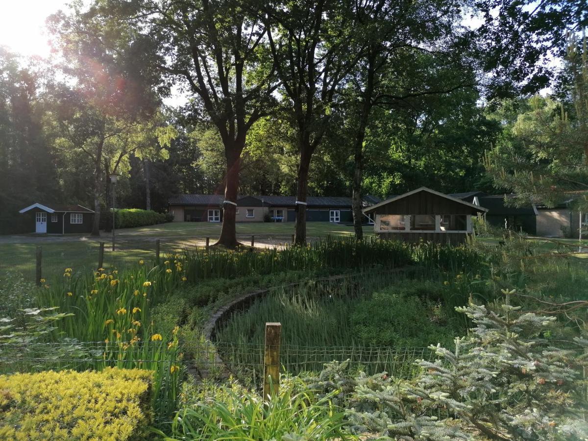 Waldjugendherberge Uelsen Esterno foto